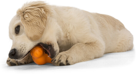 West Paw Tux - Jutalomfalattal tölthető játék