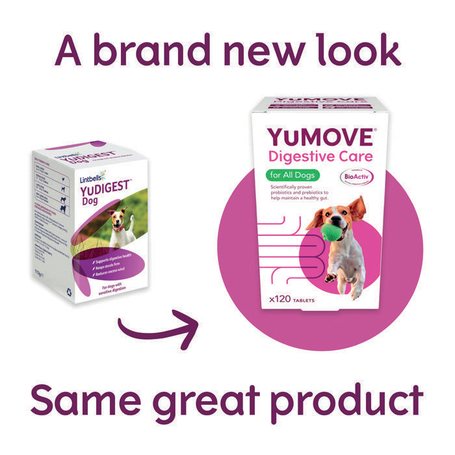 Lintbells YuMOVE Digestive Care Dog l Probiotikum kutyáknak az egészséges emésztésért