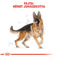 Royal Canin German Shepherd Adult - Német Juhász felnőtt kutya száraz táp #2
