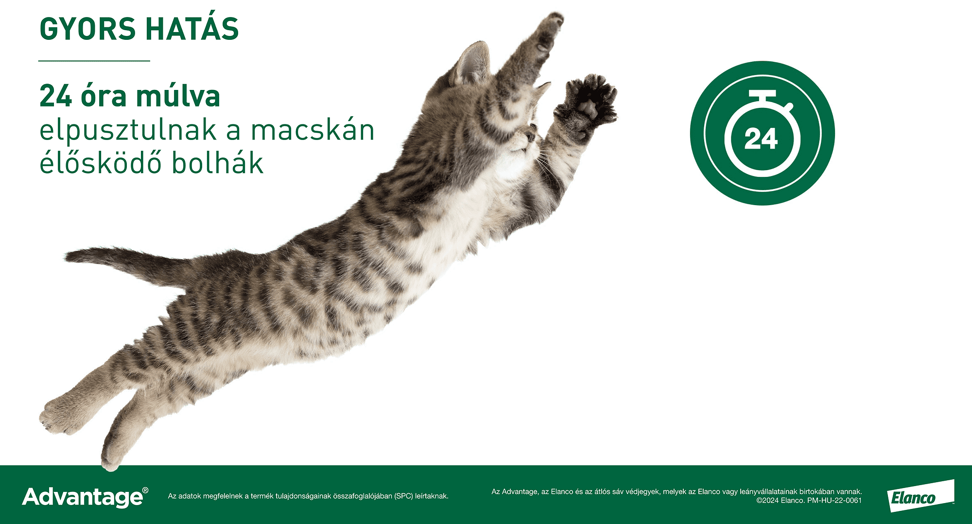 Advantage 80 spot on macskáknak és nyulaknak