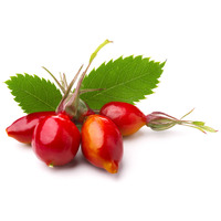 FitActive Pure Hypoallergenic Wild Boar & Rosehip #2