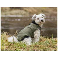 Arlay tépőzáras kutyaruha vízlepergető anyagból párnázott polár béléssel #8