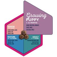 Eukanuba Puppy Medium | Táp közepes testméretű kölyökkutyáknak | Szuperprémium szárazeledel #8