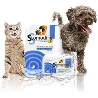 Stomodine L.P. antibakteriális szájfertőtlenítő gél kutyáknak és macskáknak #10