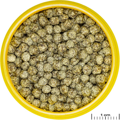 JBL ProNovo Red Grano M