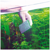 JBL Blanki tisztító szivacs #3