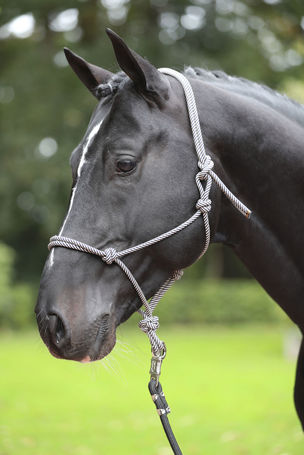 Covalliero csomózott kötőfék