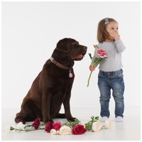 Tickless Pet ultrahangos bolha- és kullancsriasztó kutyák, macskák, vadászgörények és nyulak részére #18