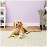 Kong Squeakair teniszlabdák #19