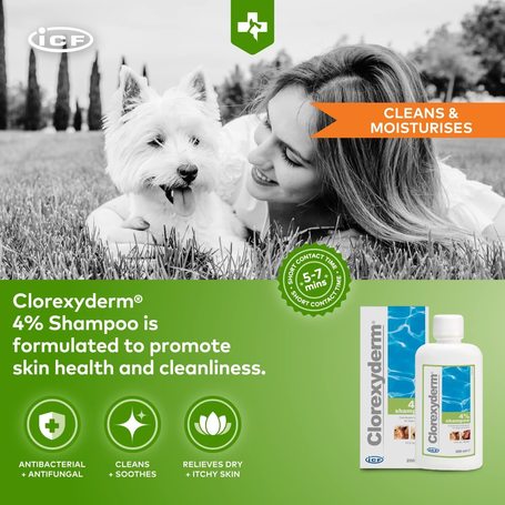Clorexyderm 4%-os fertőtlenítő sampon kutyáknak és macskáknak