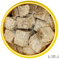 JBL ProNovo Fex tubifex #3