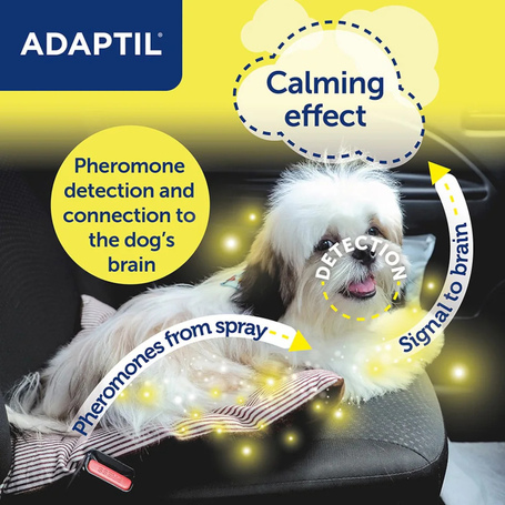 Adaptil Transport nyugtató spray kutyáknak
