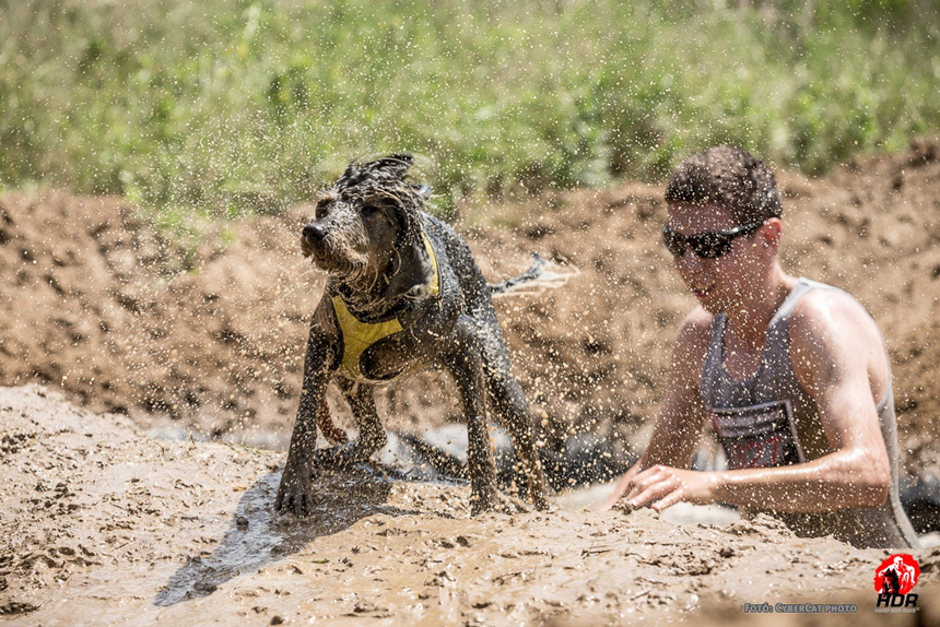Hard Dog Race 2017