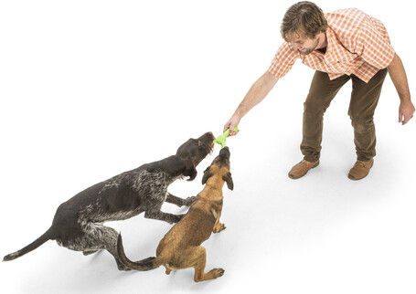 West Paw Skamp - Apport kutyajáték