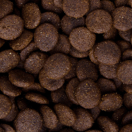 Sam's Field Adult Large Fresh Chicken & Potato