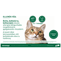 Advantage 80 spot on macskáknak és nyulaknak #3