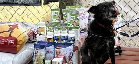 Köszönjük a sok támogatást, a kutyusok nevében is :)