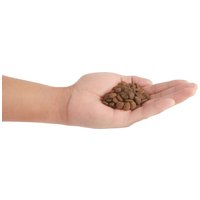 Orijen Six Fish Cat & Kitten #7