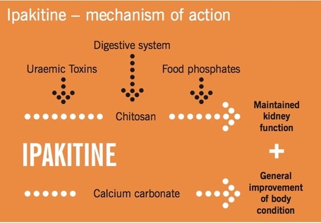 Ipakitine por a vesefunkció segítésére