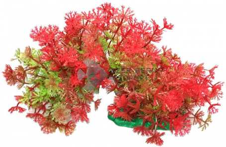 Hajlítható szárú piros ambulia műnövény