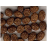 Acana Puppy Large Breed | Eledel nagytestű kölyökkutyáknak #5