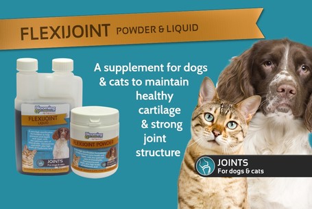 Blooming Pets Flexijoint Powder - Ízületvédő por kutyáknak és macskáknak
