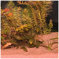 JBL Sansibar Red természetes akvárium talaj (vörös) #2