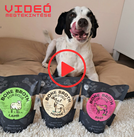 Termékteszt videó - Mázli kutya és a Food Studio csontlevesek