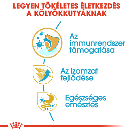 Royal Canin Boxer Junior - Boxer kölyök kutya száraz táp