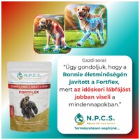 N.P.C.S. FortFlex - Csont, Porc, Ízület, Izom por kutyáknak #8