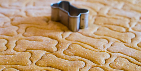 Hogyan készíts kutyakekszet házilag?