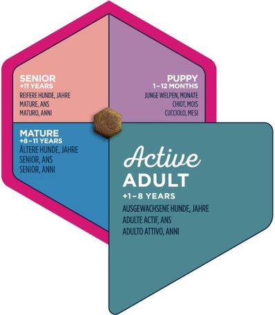 Eukanuba Adult Small | Szuperprémium táp kistermetű felnőtt kutyák etetéséhez