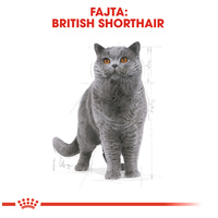 Royal Canin British Shorthair Adult - Brit rövidszőrű felnőtt macska száraz táp #2