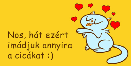 Ezért imádod a macskádat! Erre tuti nem gondoltál!