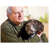 Belcando Senior Sensitive | Táp idős, érzékeny kutyáknak #3