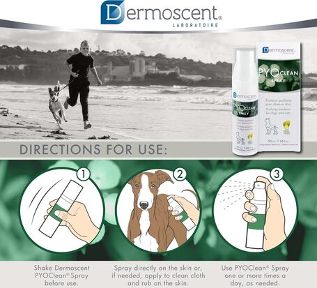 Dermoscent PYOclean Spray kutyáknak és macskáknak