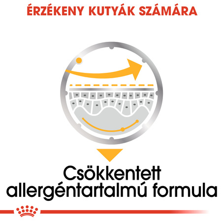 Royal Canin Dermacomfort - Nedves táp bőrirritációra hajlamos felnőtt kutyák részére