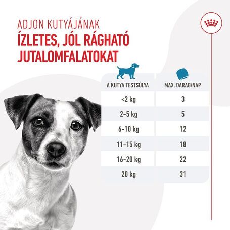 Royal Canin Training Treats jutalomfalat kutyák részére