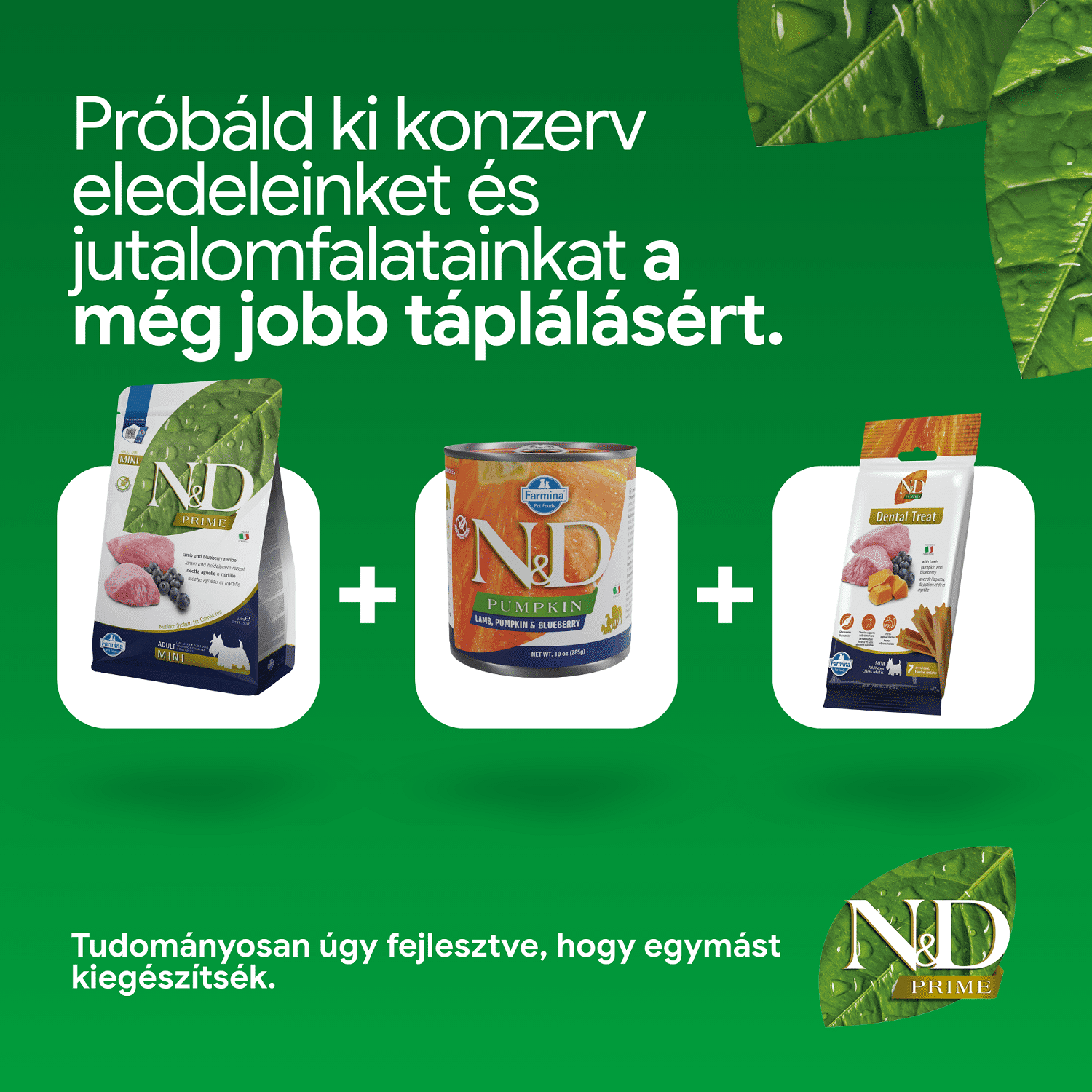 N&D Dog Prime Adult Mini Lamb & Blueberry | Bárányhúsos és vörösáfonyás száraztáp kistestű kutyáknak