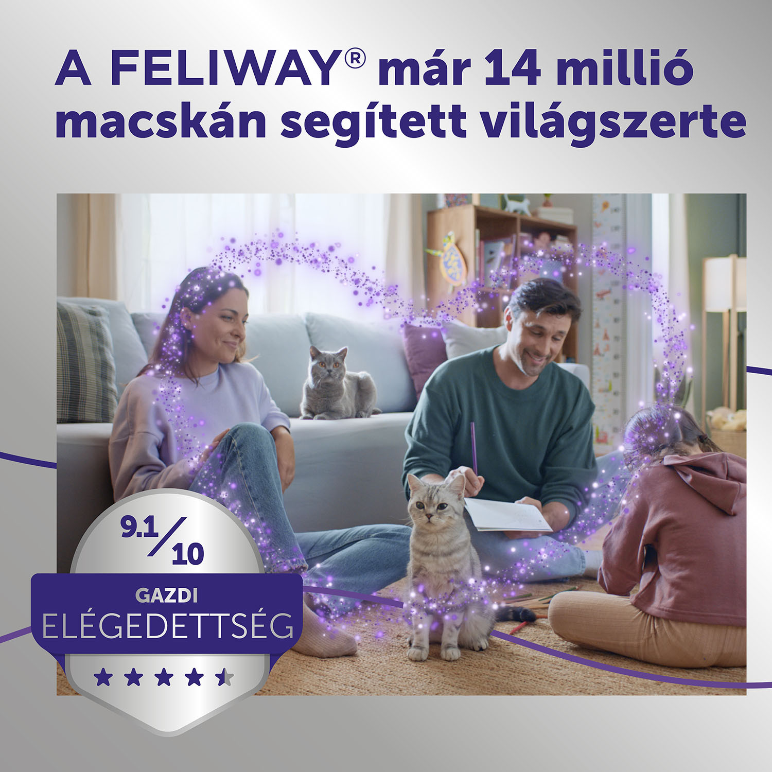 Feliway Optimum nyugtató hatású párologtató macskáknak