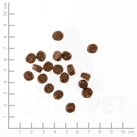 Belcando Finest Grain-Free Salmon