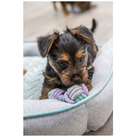 Trixie rágható súlyzó kötélből #3