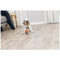 Trixie duci latex kutya sípoló hanggal #4