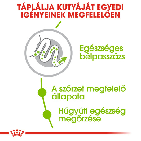 Royal Canin X-Small Adult - Nagyon kistestű felnőtt kutya száraz táp