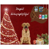 Nugát, 5 hónapos keverék fiúcska #9