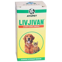 Livjivan májvédő cseppek kutyáknak