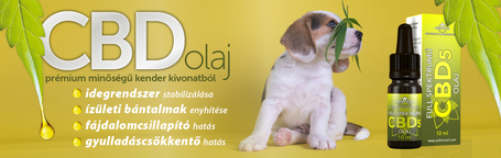 Arthrocol full spektrumú CBD5 bio olaj kutyáknak