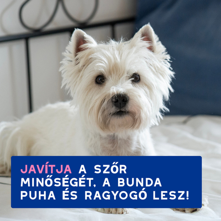 Douxo Spa viszketéscsillapító sampon kutyáknak