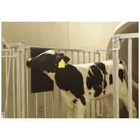 Kerbl fali vakarólap gumibütykökkel istállóba #2