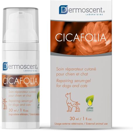 Dermoscent Cicafolia sebkezelő gél kutyáknak és macskáknak